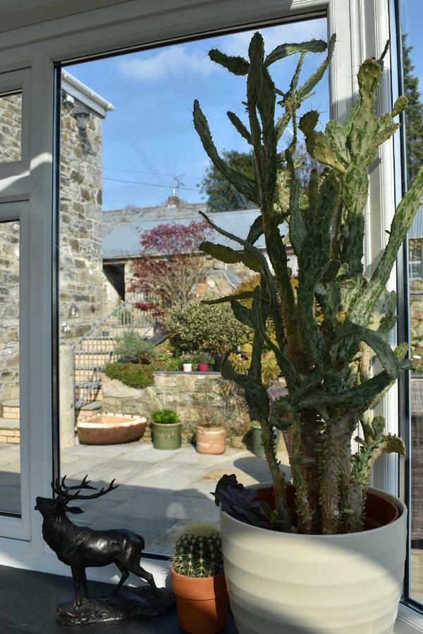 Saint Teath Treveighan Farmhouse المظهر الخارجي الصورة